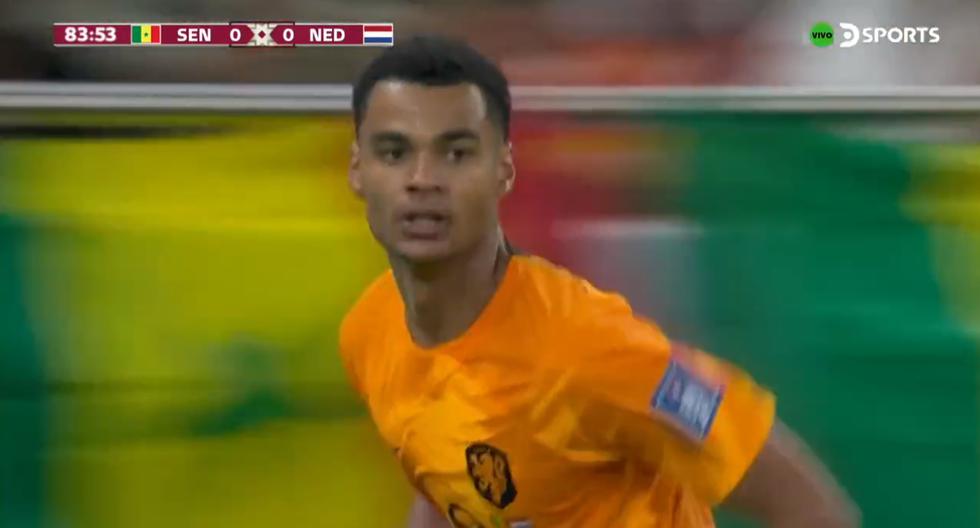 Países Bajos vs. Senegal: gol de Cody Gakpo para el 1-0 de los ‘Tulipanes’ 