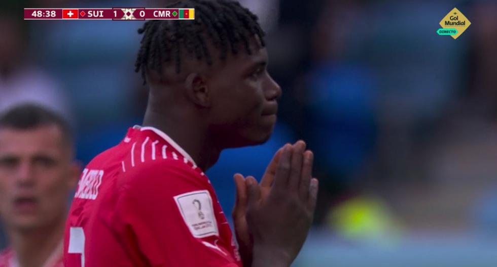 Switzerland's goal: Embolo scored the 1-0 against Cameroon, his country of birth.