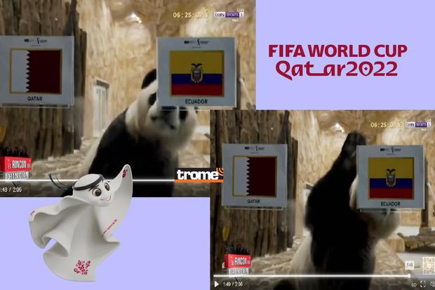 Entre las curiosidades de los torneos mundialistas de fútbol están los animalitos que 'predicen' resultados. (Compos. Isabel Medina / Trome / Rincón del hincha).