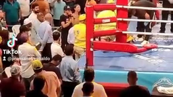 TROME | Boxeador Luis Quiñones muere tras pelea (TikTok)