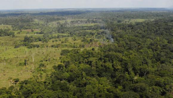 Deforestación en la Amazonía peruana se redujo en 4.1 %, según el Minam (Foto: Cortesía Natura | archivo GEC)