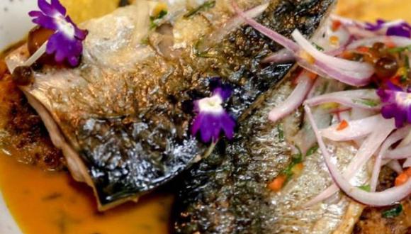 la anchoveta, un superalimento que se encuentra en la corriente de Humboldt. (Foto: “A Comer Pescado”)