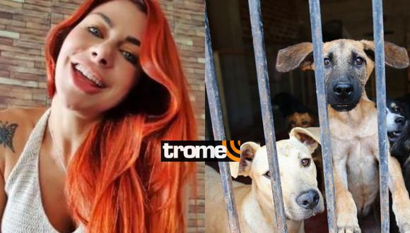 Xoana González quiere abrir un albergue para rescatar animales gracias al OnlyFans. Foto: Instagram / Referencial