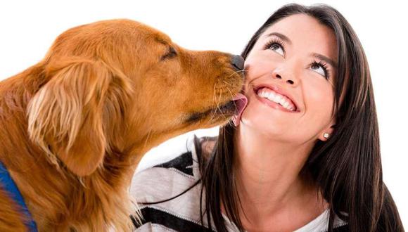 Arne desarrollo de Parámetros Lamidas de Perros qué significa cuando los perros nos lamen la cara o las  manos | mascotas | nnda | nnrt | FAMILIA | TROME