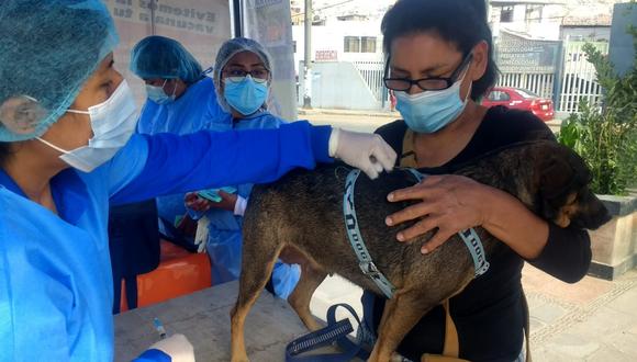 Mil 200 perros fueron vacunados contra la rabia.