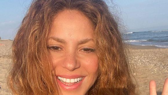 Shakira y Gerard Piqué tuvieron una relación de 12 años y tuvieron 2 hijos producto de su romance (Foto: Shakira/Instagram)