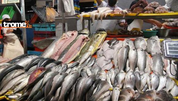 Especialistas afirmaron que el mayor volumen de pescado que llega a los mercados es del norte y del sur del país. (Foto: GEC)