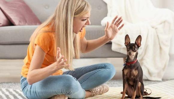Descubre por qué es malo gritarle a tu perro.
