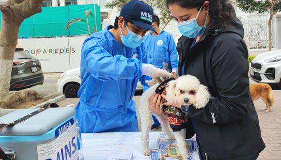 Vacunarán a más de 220 mil canes contra la rabia en los distritos de Lima Sur. (Foto: Ministerio de Salud)
