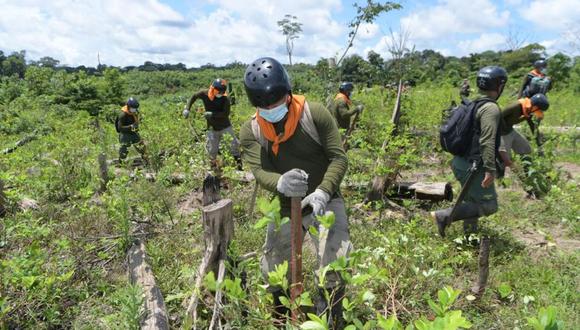 El Mininter indicó que, a finales de este año, el Proyecto Especial Corah tiene la meta de erradicar 18 mil hectáreas de sembríos de hoja de coca ilegales. (Foto: Ministerio del Interior)
