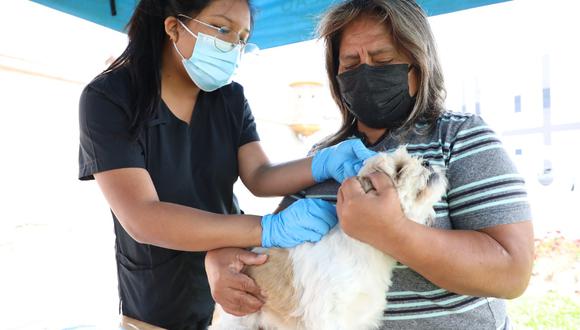 Perritos y gatitos, los engreídos de la casa, y sus 'papis' humanos salieron felices tras recibir sus vacunas.