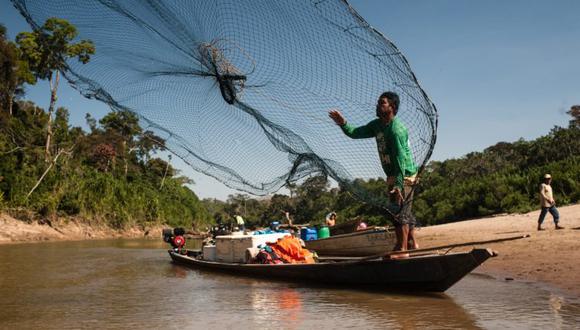 Hallan por primera vez microplásticos en peces de la Amazonía peruana, advirtió el Ministerio del Ambiente. (Crédito: Boris Mercado/FZS Perú)