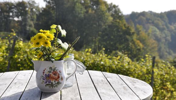 Las flores y plantas son las protagonistas de esta estación y no pueden quedar en un segundo plano, así que es importante aprovechar cualquier espacio libre en casa. (Foto: Pexel y Pixabay)