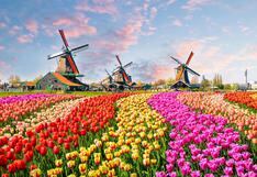 ¿Por qué Holanda se llama ahora Países Bajos?