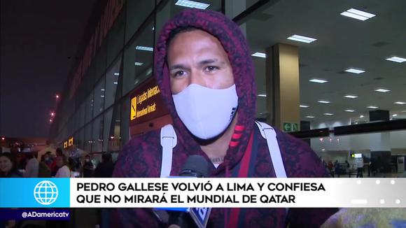 Pedro Gallese no verá el Mundial Qatar 2022. (Video: América Televisión)