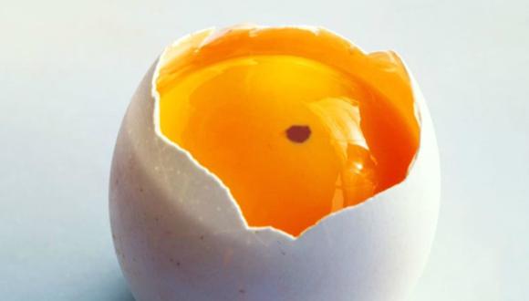 ¿Es seguro comer estos huevos con manchas de sangre? Aquí te lo contamos. (Foto: live_smart_inc - Instagram)