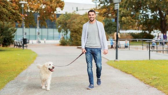 Descubre los beneficios de pasear a tu mascota.
